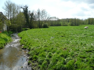 Nogent l'Artaud (Aisne) Bord de l'eau