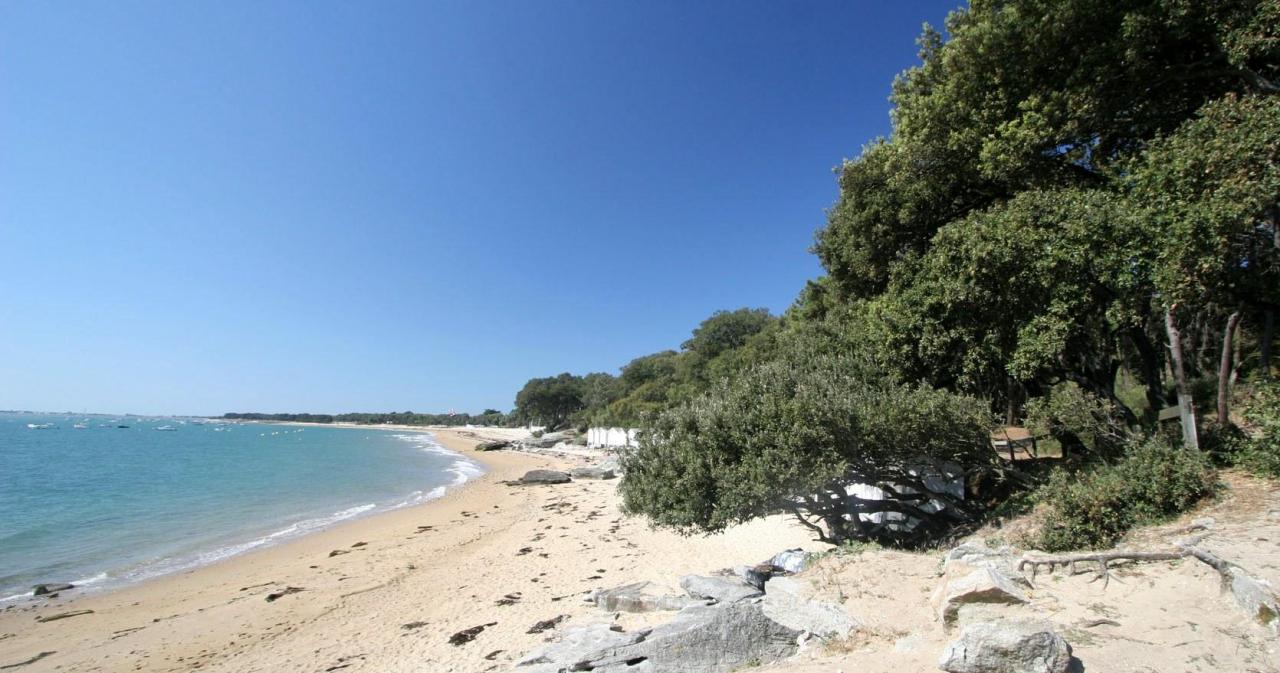 Noirmoutier-en-l'Ile (Vendée) Bois de La Chaise 