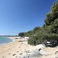 Noirmoutier-en-l'Ile (Vendée) Bois de La Chaise 