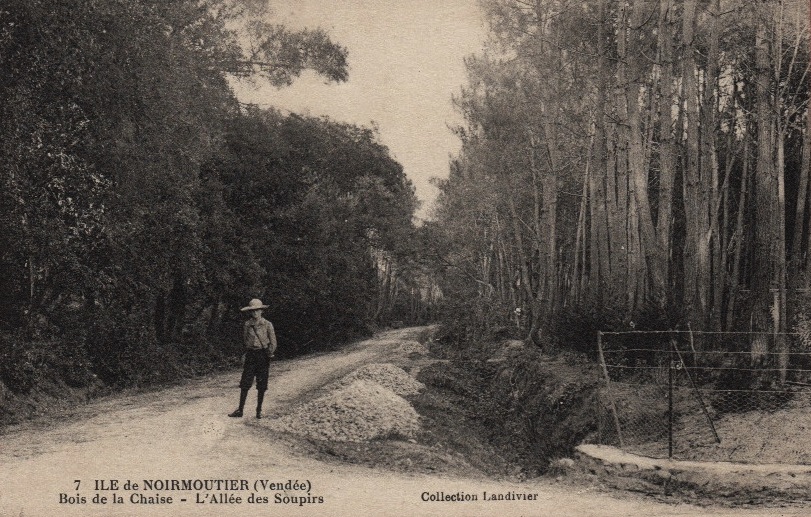 Noirmoutier-en-l'Ile (Vendée) Bois de La Chaise CPA