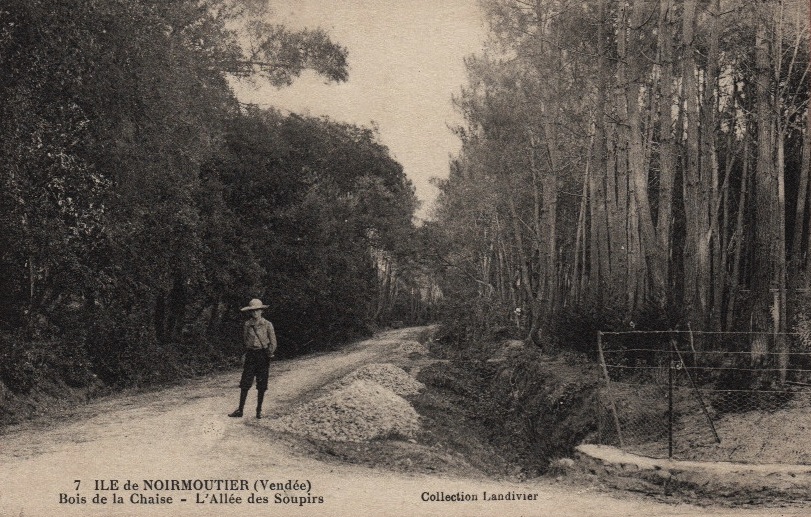 Noirmoutier-en-l'Ile (Vendée) Bois de La Chaise CPA