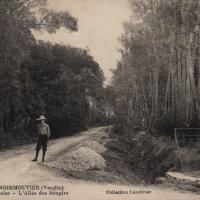 Noirmoutier-en-l'Ile (Vendée) Bois de La Chaise CPA