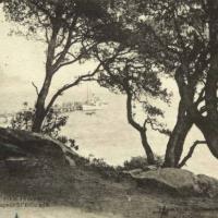 Noirmoutier-en-l'Ile (Vendée) Bois de La Chaise CPA