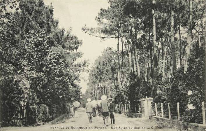 Noirmoutier-en-l'Ile (Vendée) Bois de La Chaise CPA