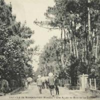 Noirmoutier-en-l'Ile (Vendée) Bois de La Chaise CPA