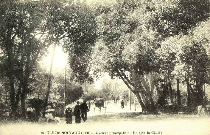 Noirmoutier-en-l'Ile (Vendée) Bois de La Chaise CPA