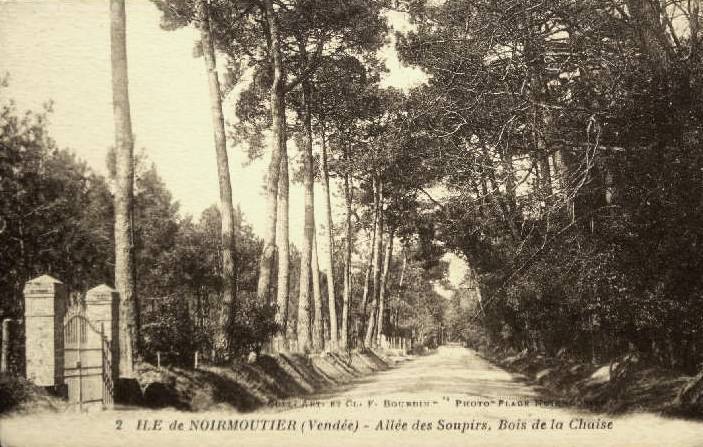 Noirmoutier-en-l'Ile (Vendée) Bois de La Chaise CPA