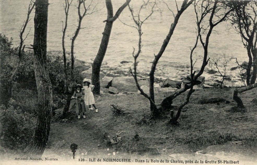 Noirmoutier-en-l'Ile (Vendée) Bois de La Chaise CPA