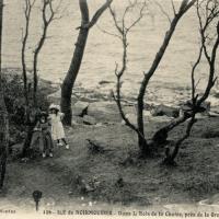 Noirmoutier-en-l'Ile (Vendée) Bois de La Chaise CPA