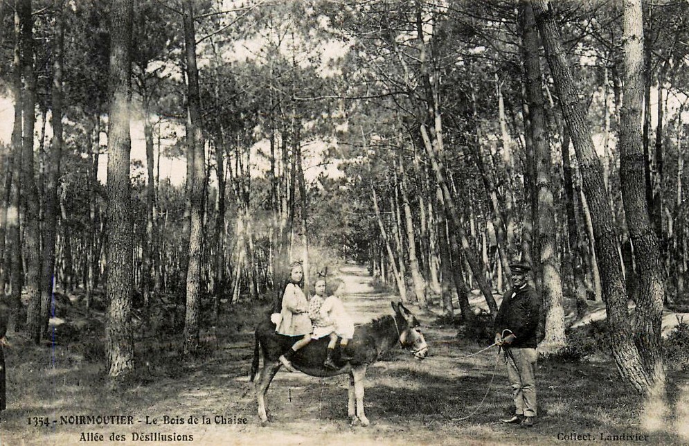 Noirmoutier-en-l'Ile (Vendée) Bois de La Chaise CPA