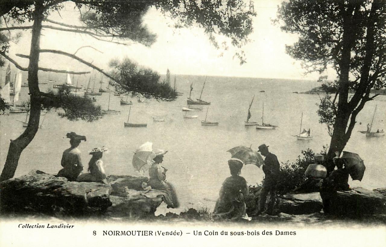 Noirmoutier-en-l'Ile (Vendée) Bois de La Chaise CPA