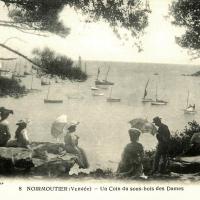 Noirmoutier-en-l'Ile (Vendée) Bois de La Chaise CPA