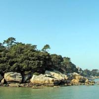 Noirmoutier-en-l'Ile (Vendée) Bois de la Chaise, le rivage