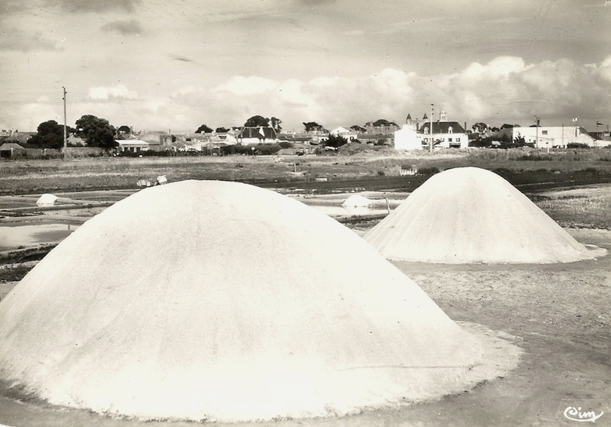 Noirmoutier-en-l'île (Vendée) Les marais salants CPA