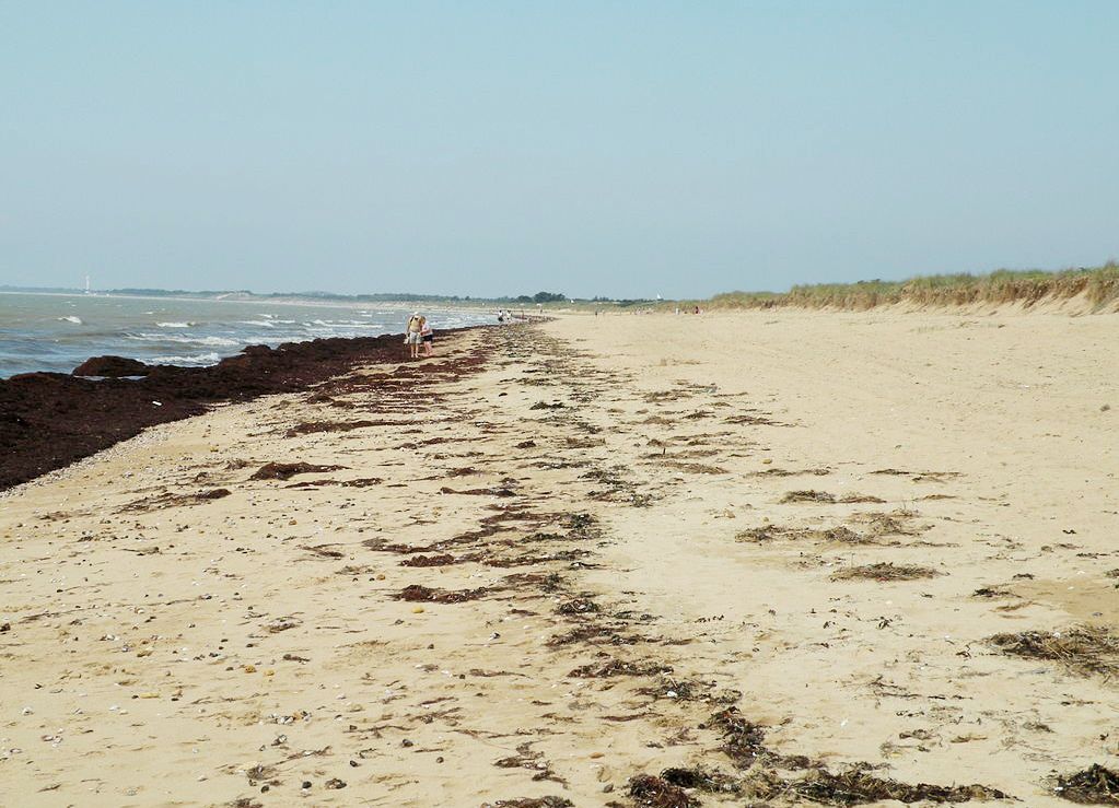 Notre-Dame-de-Monts (Vendée) La plage de la Braie