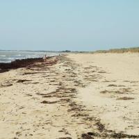 Notre-Dame-de-Monts (Vendée) La plage de la Braie