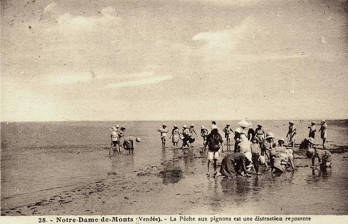 Notre-Dame-de-Monts (Vendée) La pèche CPA