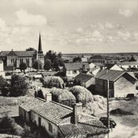 Notre-Dame-de-Monts (Vendée) Vue générale CPA