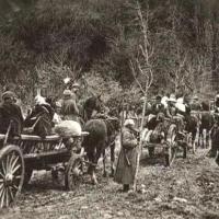 Noyon oise cpa 1914 1918 execution sommaire