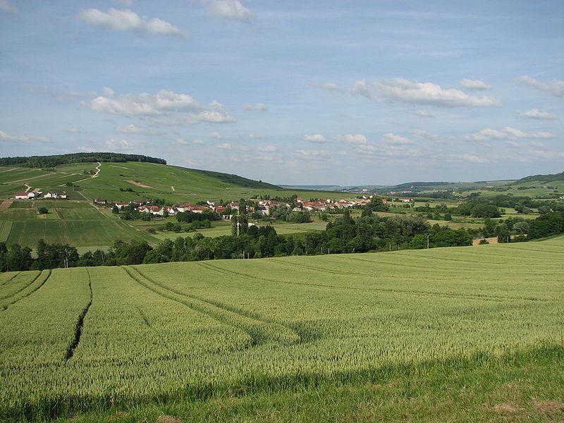 Passy-sur-Marne (Aisne) vue générale