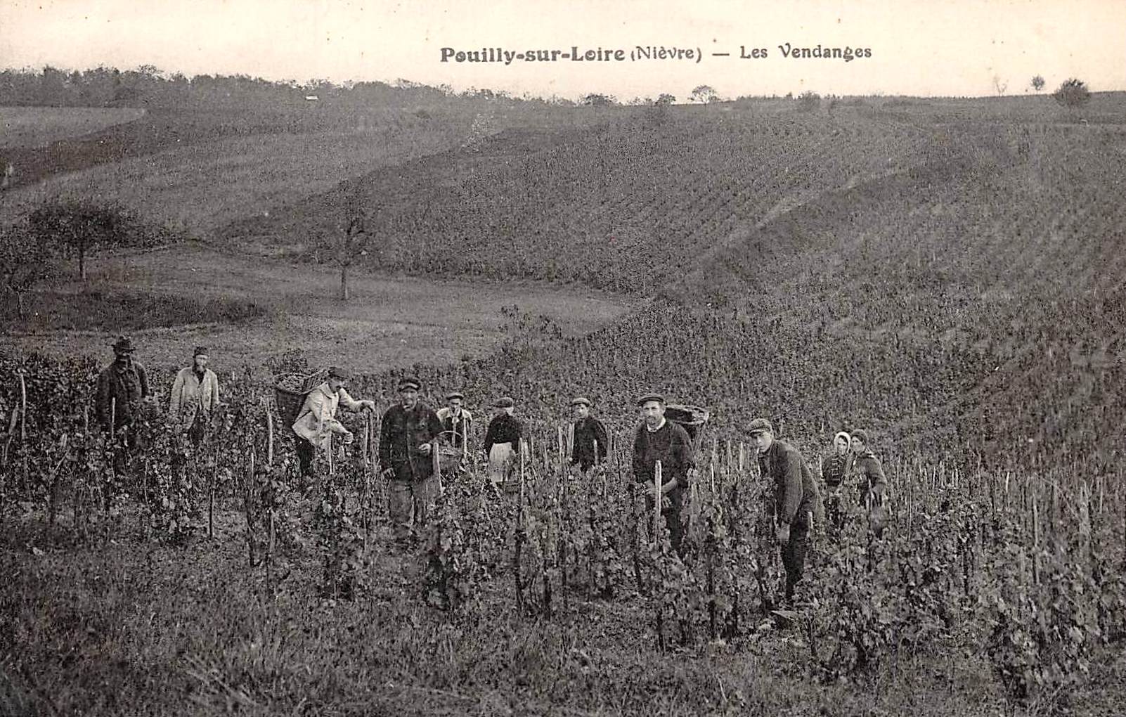 Pouilly-sur-Loire (Nièvre) Les vendanges CPA