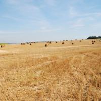Pouilly-sur-Meuse (Meuse) La butte du Châtillon