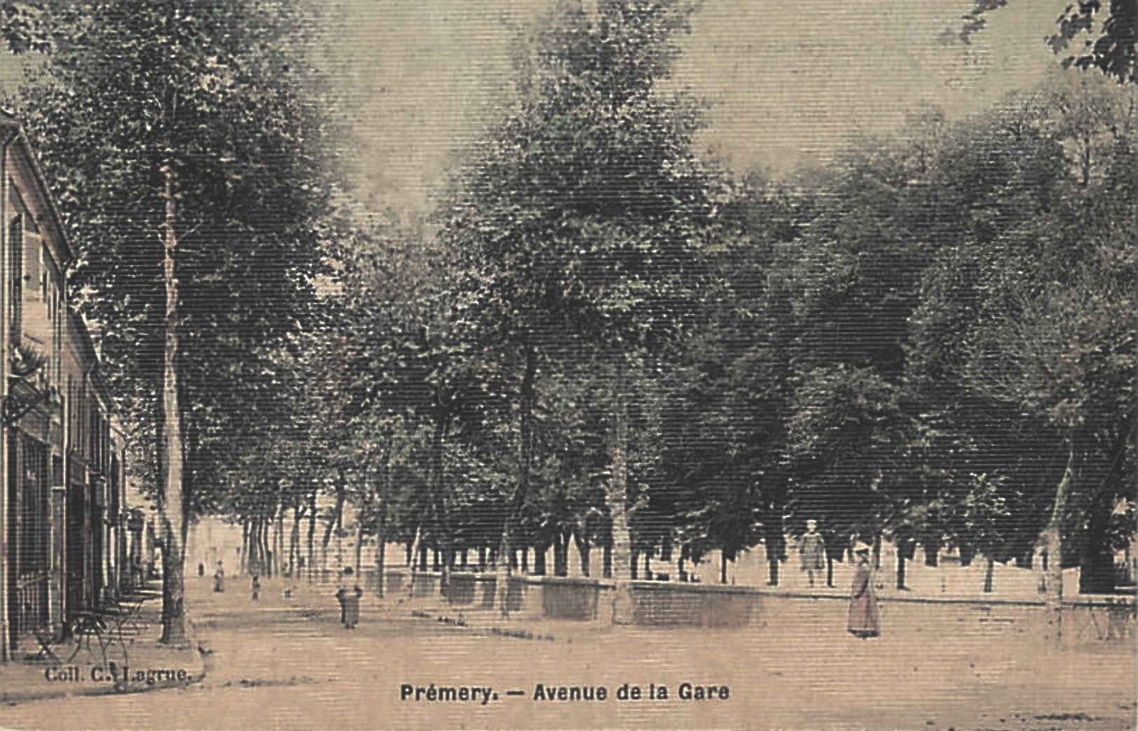 Prémery (Nièvre) L'avenue de la Gare CPA