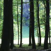 Quincy-Landzécourt (Meuse) L'étang du Fond de l'Aunois