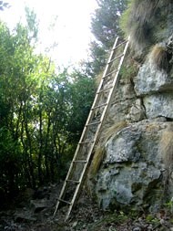 Roquefort sur soulzon aveyron le sentier des echelles