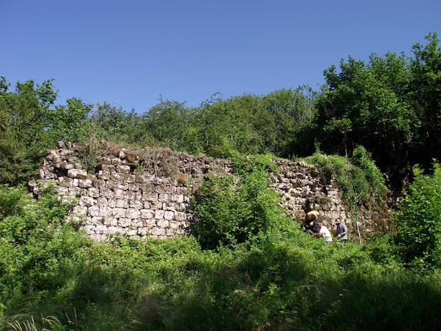 Ruines du rempart du château