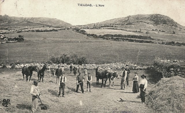 Tieudas, cpa