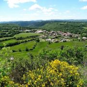 Vue générale