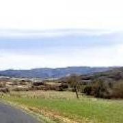 Panoramique