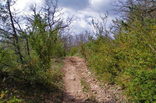 Saint-Beauzile (Tarn) chemin vers La Dugarié