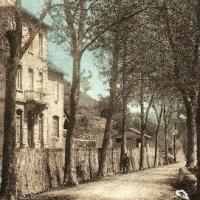 L' avenue et les écoles (cpa)