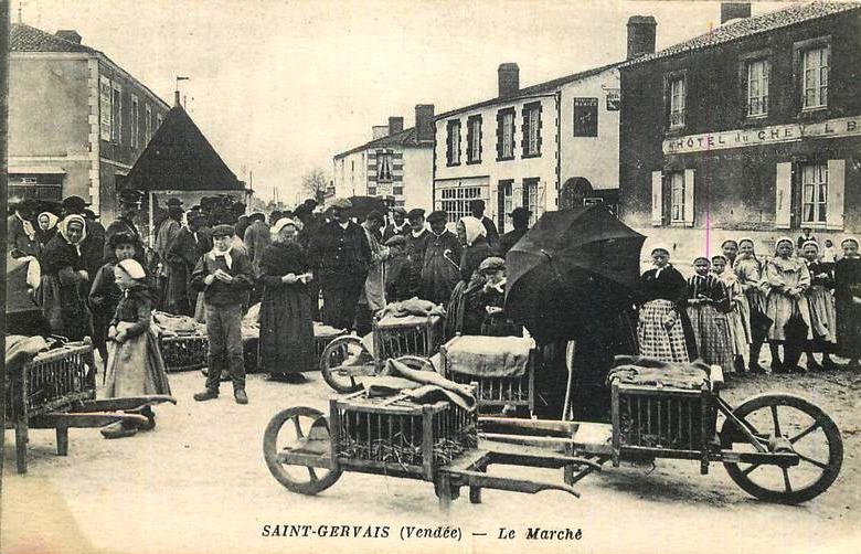 Saint-Gervais (Vendée) Le marché CPA