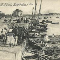 Saint-Gilles-Croix-de-Vie (Vendée) Le port, arrivée de la pèche