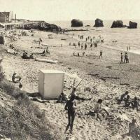 Saint-Hilaire-de-Riez (Vendée) Sion-sur-l'Océan, Les 5 Pineaux CPA