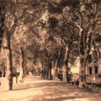 Le Boulevard du temple