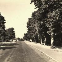 Saint-Jean-de-Monts (Vendée) L'avenue de la mer CPA