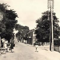 Saint-Jean-de-Monts (Vendée) L'avenue de la mer CPA