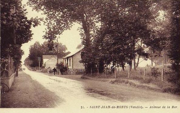 Saint-Jean-de-Monts (Vendée) L'avenue de la mer CPA