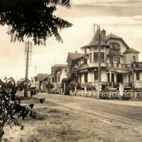 Saint-Jean-de-Monts (Vendée) L'avenue des Mimosas CPA
