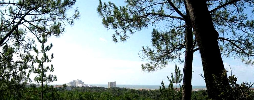 Saint-Jean-de-Monts (Vendée) Le Belvédère