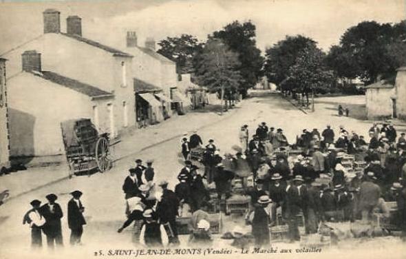 Saint-Jean-de-Monts (Vendée) Le marché aux volailles CPA