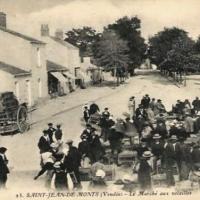 Saint-Jean-de-Monts (Vendée) Le marché aux volailles CPA