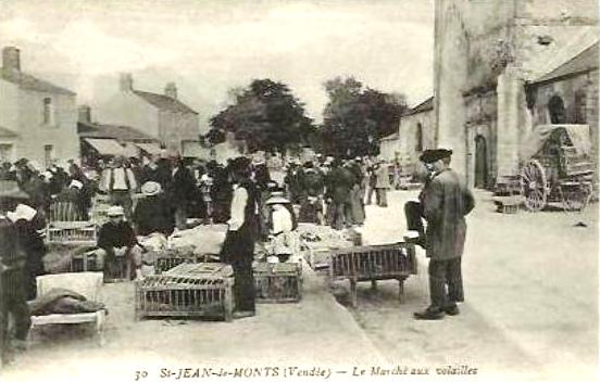 Saint-Jean-de-Monts (Vendée) Le marché aux volailles CPA