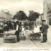 Saint-Jean-de-Monts (Vendée) Le marché aux volailles CPA