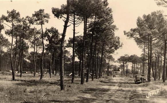 Saint-Jean-de-Monts (Vendée) Le sous-bois en 1949