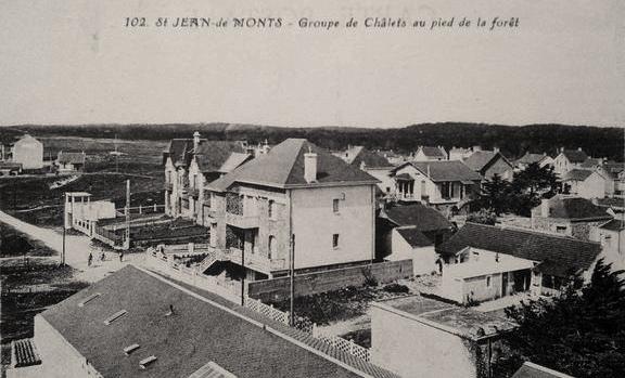 Saint-Jean-de-Monts (Vendée) Les chalets au pied de la forêt CPA